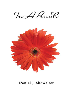 cover image of In a Pinch